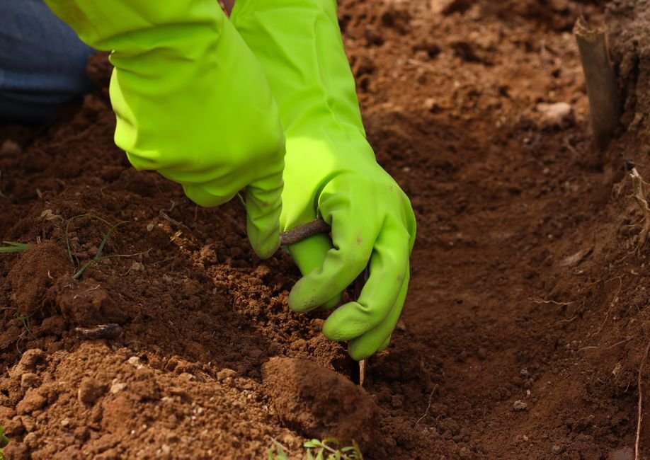 Gloved hands digging a small hole in garden soil to bury a broken crystal